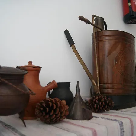 Feriehus Aguieira Castro Daire